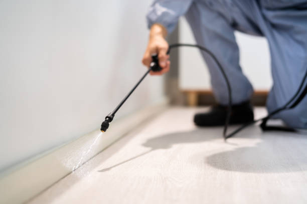 Bed Bug Pre-Treatment Preparation Assessment in Cosmopolis