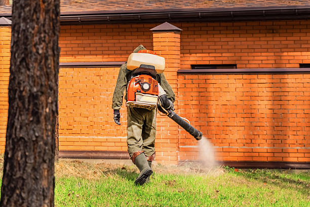 Bed Bug Clearance Verification and Documentation in Cosmopolis